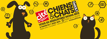 Chiens et Chats l'expo2